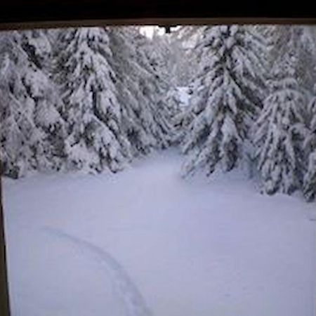 Chalet Gulas - La Punt-Chamues-ch Exterior foto
